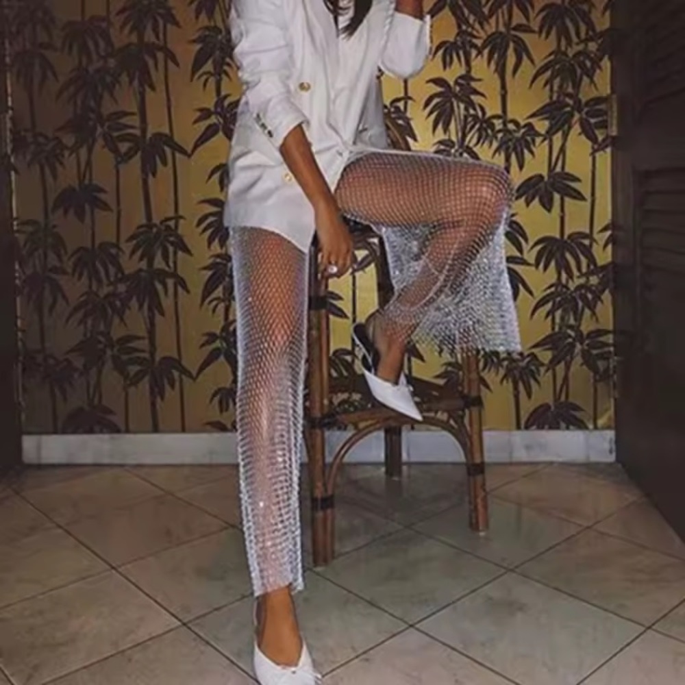 Sheer Silver Mesh Pants